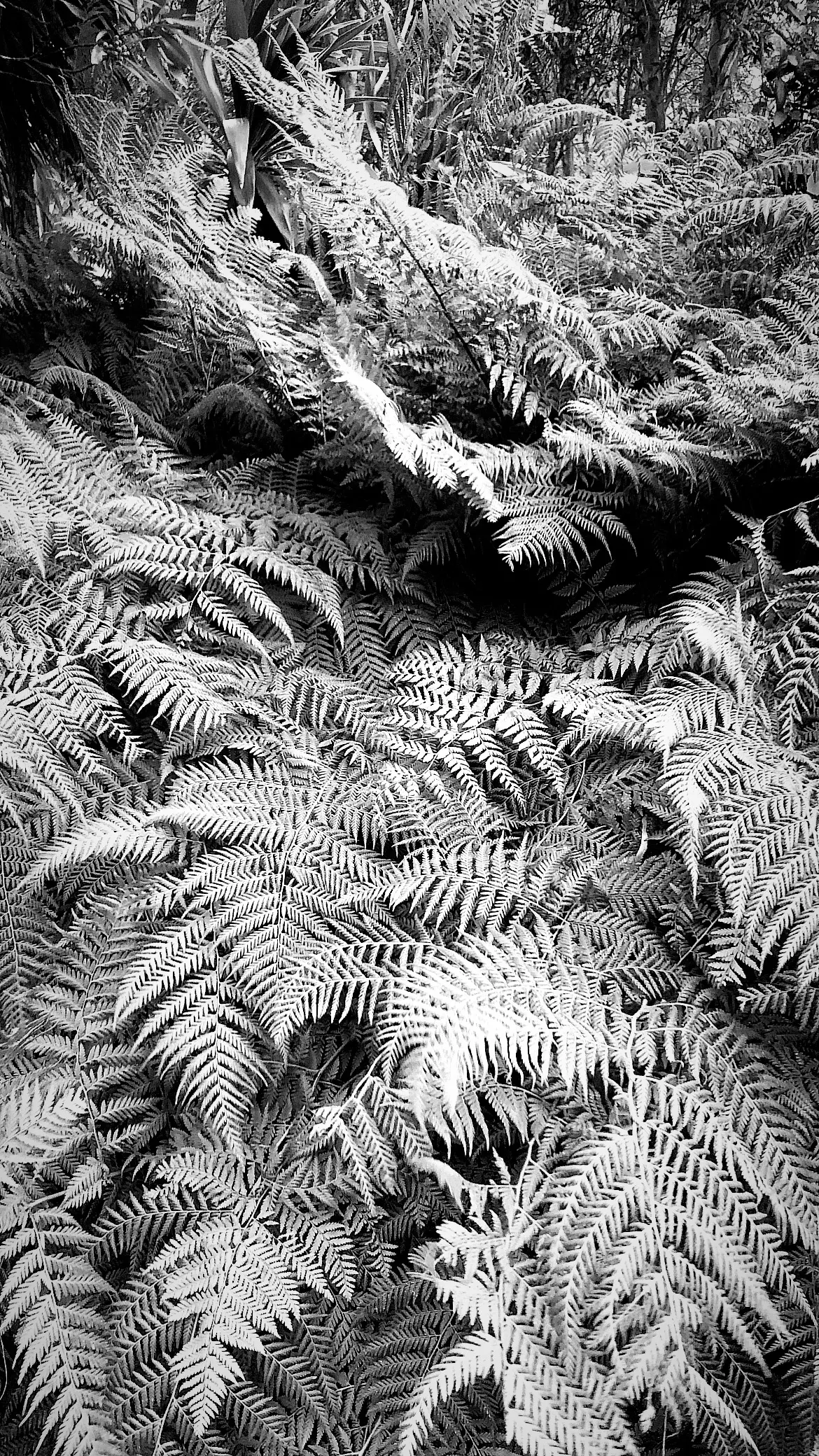 Northcote Laneway project detail 4